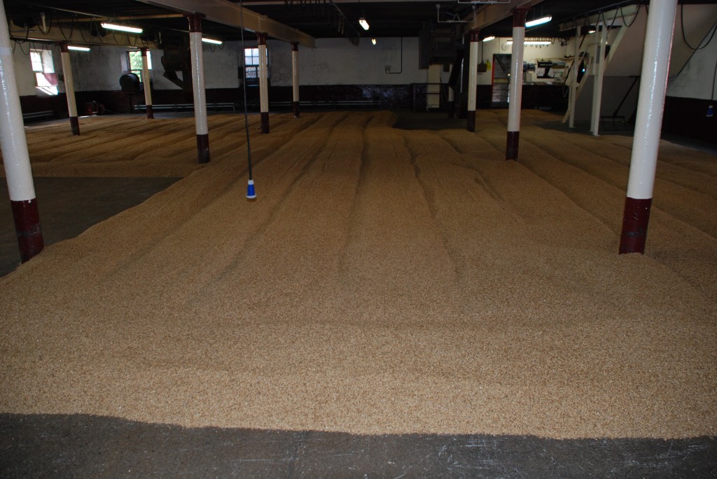 Balvenie7 Grains go to malting floor